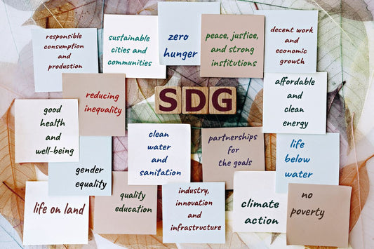 Setting the Standard: Sustainable Workwear and Industry-Recognized Certifications
