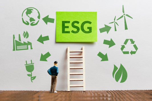 Light Treads: Empowering Industries with ESG-Centric Footwear Solutions